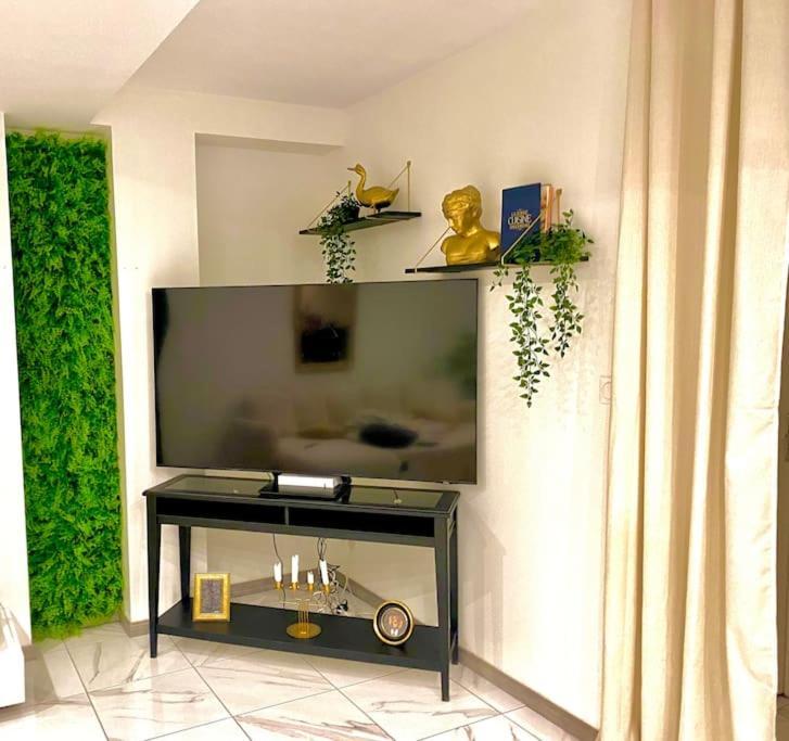 Toulouse Vaste Appartement Tres Lumineux Extérieur photo